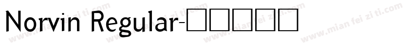 Norvin Regular字体转换